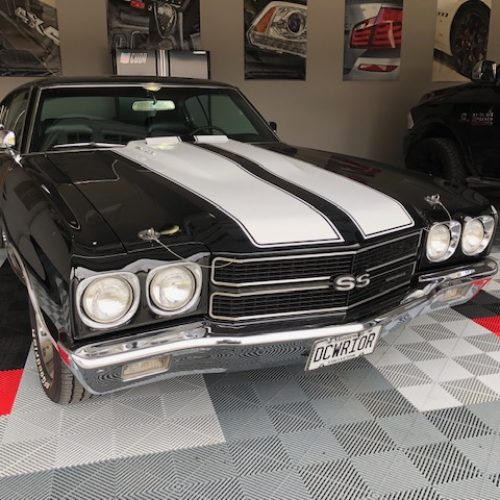 IMG_0431 (1) IMG_0431 (1)