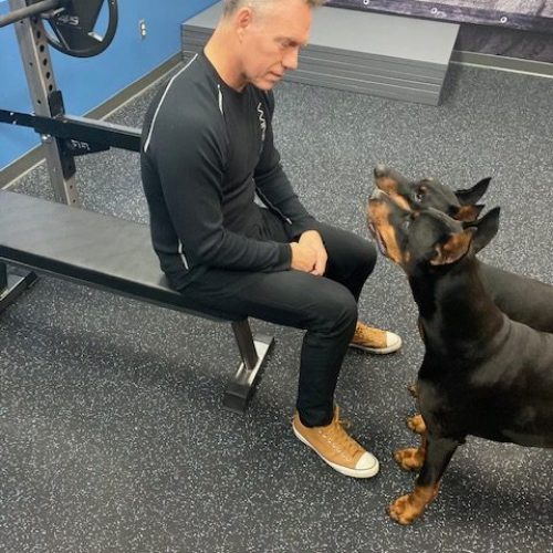 IMG_8785 (1) IMG_8785 (1)